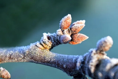 Облачно и до +5°C ожидается в Гомеле 30 марта