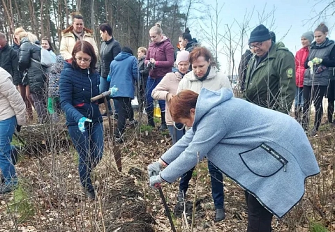 Профсоюзная первичка Гомельской центральной городской детской клинической поликлиники поддержала акцию «Неделя леса – 2023»