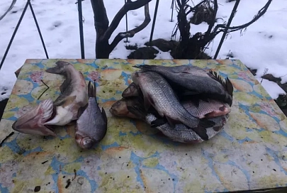 В Рогачевском районе задержали браконьера