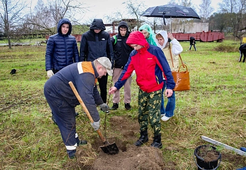Студенты БелГУТа заложили молодой яблоневый сад