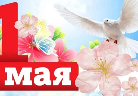 Где и как весело провести 1 мая