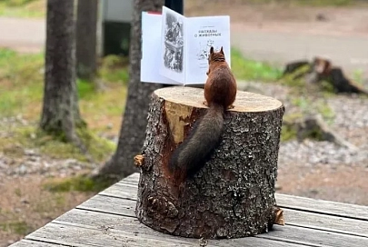 В Гомеле предлагают «научить» белок играть в хоккей и читать книги