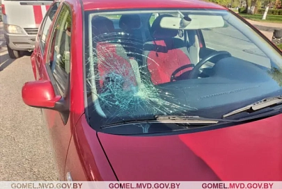 В Жлобине под колеса автомобиля попал 8-летний ребенок