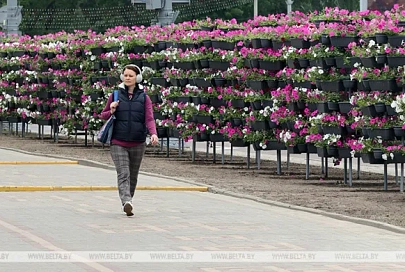 ФОТОФАКТ: Более 450 тыс. цветов на городские клумбы будет высажено нынешней весной в Гомеле