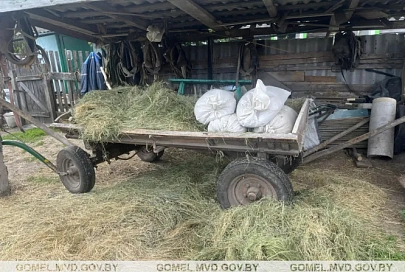 В Лоевском районе у животновода изъяли похищенную муку