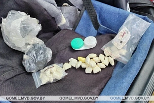 В Мозыре за незаконный оборот наркотиков задержаны жители Речицы и Василевич