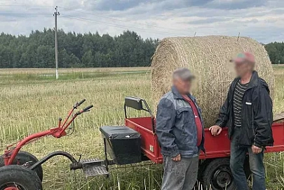 В Добрушском районе безработный житель похитил с поля местного агросервиса тюк соломы