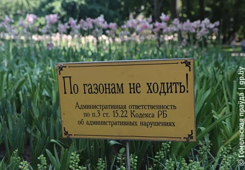 В УВД облисполкома и Гомельском дворцово-парковом ансамбле отреагировали на публикацию «Гомельскай праўды»