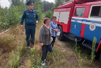 Пошли в лес и заблудились: в Лоевском районе работники МЧС нашли двух пенсионерок