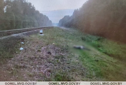 В Рогачевском районе поезд сбил пенсионера
