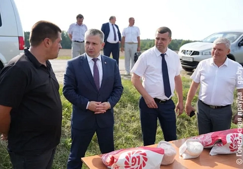 Губернатор ознакомился с севом озимого рапса и заготовкой сенажа в хозяйствах Житковичского района
