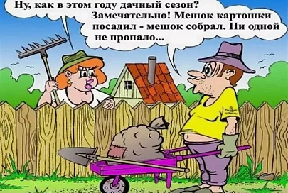 Кабачок Всемогущий: в субботу едешь на любимую дачу, а в воскресенье возвращаешься с этого опостылевшего огорода. Подборка анекдотов