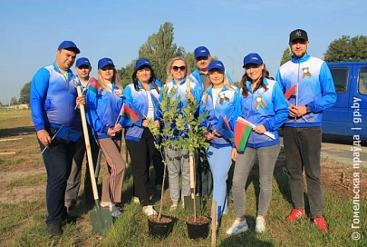 В новых районах Мозыря становится зелено 