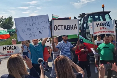 Брюссельский сговор. Как европейские фермеры стали заложниками украинского зерна