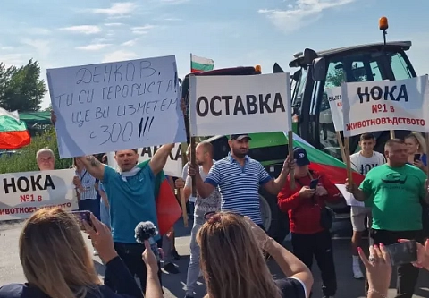 Брюссельский сговор. Как европейские фермеры стали заложниками украинского зерна