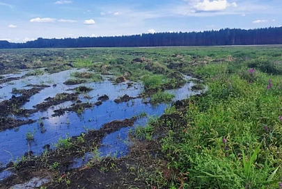 Незаконно получил из бюджета свыше 9 тыс. рублей на мелиорацию земель: прокуратура Речицкого района возбудила уголовное дело о превышении должностным лицом полномочий