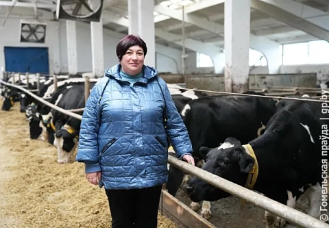 Качество и кадры – основа успеха. Сегодня СУП «Заболотье 2010» входит в тройку лучших в Рогачевском районе
