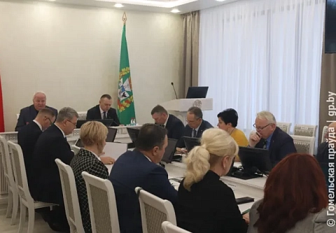 В Гомеле прошло заседание областного координационного совета общественных объединений и политических партий 