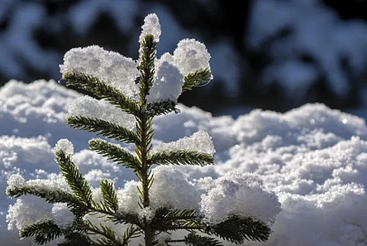 Осадки и до -9°C ночью ожидается в Гомеле 15 декабря