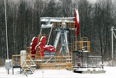 Ляхов: есть основания говорить, что добыча нефти в Хойникском районе будет расти