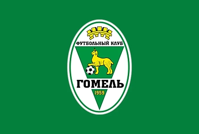Определена пятерка лучших голов футболистов "Гомеля" в минувшем сезоне