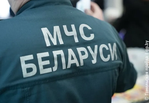 Где в Гомеле в этом году появится новый сквер?