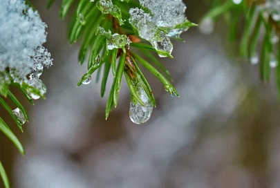 Без осадков и до -5°C ночью ожидается в Гомеле 28 января