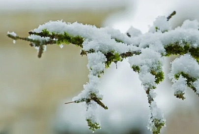 Снег и до +2°C ожидается в Гомеле 6 февраля