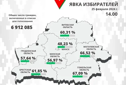 По данным на 14.00 явка избирателей в Единый день голосования на Гомельщине превысила 67%