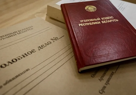В Светлогорске двое ранее судимых товарищей пытались украсть из магазина кресло за 600 рублей