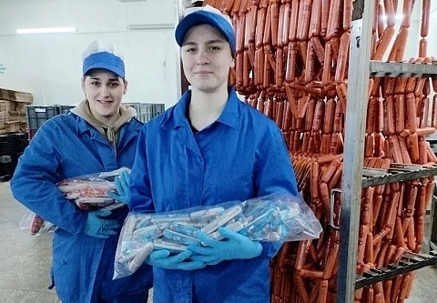 На Жлобинском мясокомбинате впервые работает студенческий производственный отряд