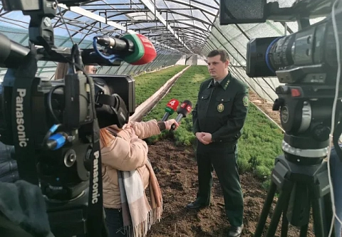Более пяти тысяч гектаров молодого леса планируется создать на Гомельщине