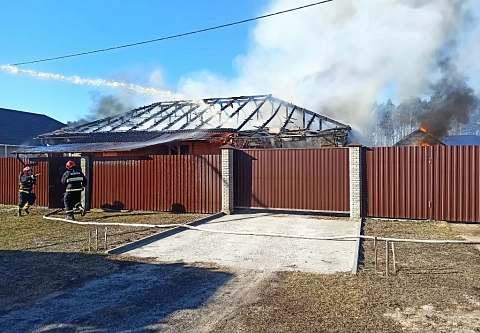 Мама и дети в безопасности. В Гомельском районе автономный пожарный извещатель спас три жизни