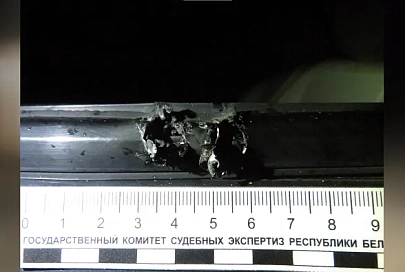 В Калинковичах два брата набросились с бензопилой и ножом на непрошенных гостей, после изуродовали их автомобиль