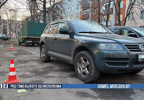 В Гомеле бесправник, двигаясь задним ходом, наехал на трехлетнего ребенка: прокурор области санкционировал заключение обвиняемого под стражу