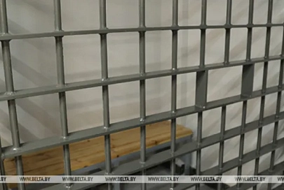 Многодетный отец из Жлобинского района приговорен к 16 годам колонии за убийство экс-супруги