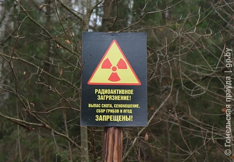 Строить и возрождать. В Беларуси определен перечень проектов, финансируемых из бюджета в 2024 году для районов, пострадавших от аварии на ЧАЭС