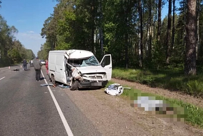 В Рогачевском районе в ДТП погиб пассажир