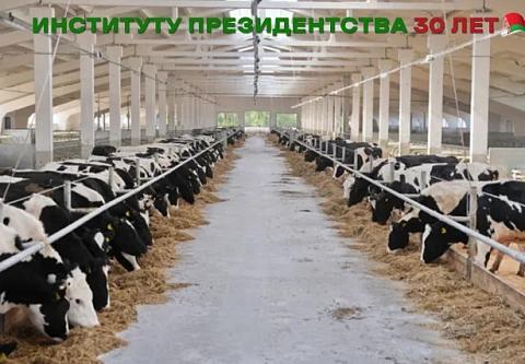 Сельское хозяйство – ключевая отрасль, исконно близкая и понятная белорусам