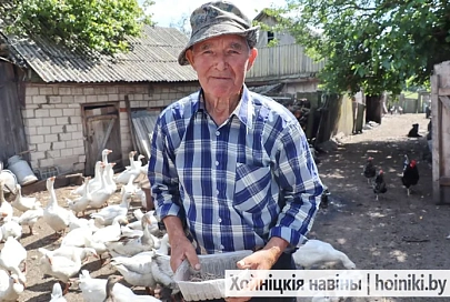 Кто на селе хозяин? У пенсионера из Хойникского района живет 50 «весёлых гусей»