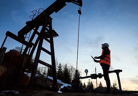 Громко бурят недра. С 1 по 15 октября специалисты ПО «Белоруснефть» проводят сейсморазведку на Гомельщине