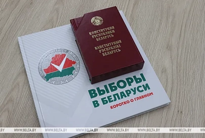 Карпенко: для международных наблюдателей на выборах Президента Беларуси будут созданы все условия