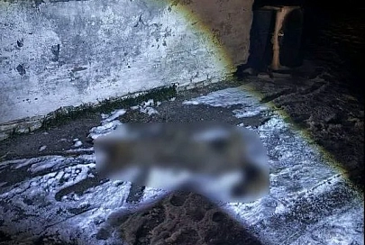 В Хойникском районе милиционеры спасли мужчину, на которого напал волк
