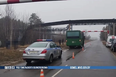 В Мозырском районе произошло смертельное ДТП