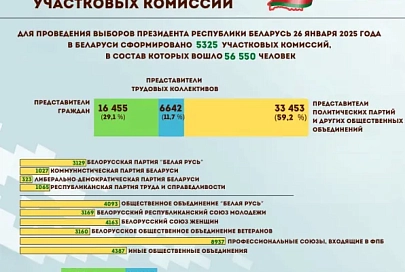 В Беларуси сформировано 5325 участковых комиссий