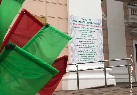 Международные наблюдатели от миссии СНГ узнали, как проходит досрочное голосование в Гомеле