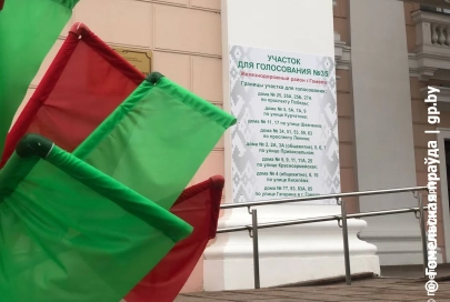 Международные наблюдатели от миссии СНГ узнали, как проходит досрочное голосование в Гомеле