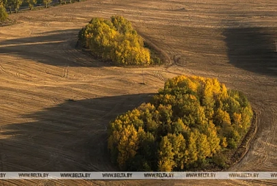 "По страницам Дневника путешественника". Школьник из Мозыря составил лучший туристско-экскурсионный маршрут