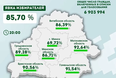 Явка граждан на выборах Президента Беларуси составила 85,70 %. В Гомельской области – 91,54 %