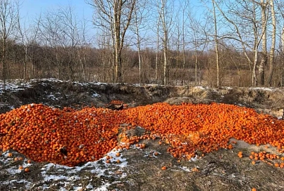 Грозит до ста базовых: в Ченках кто-то выбросил на поле огромное количество мандаринов